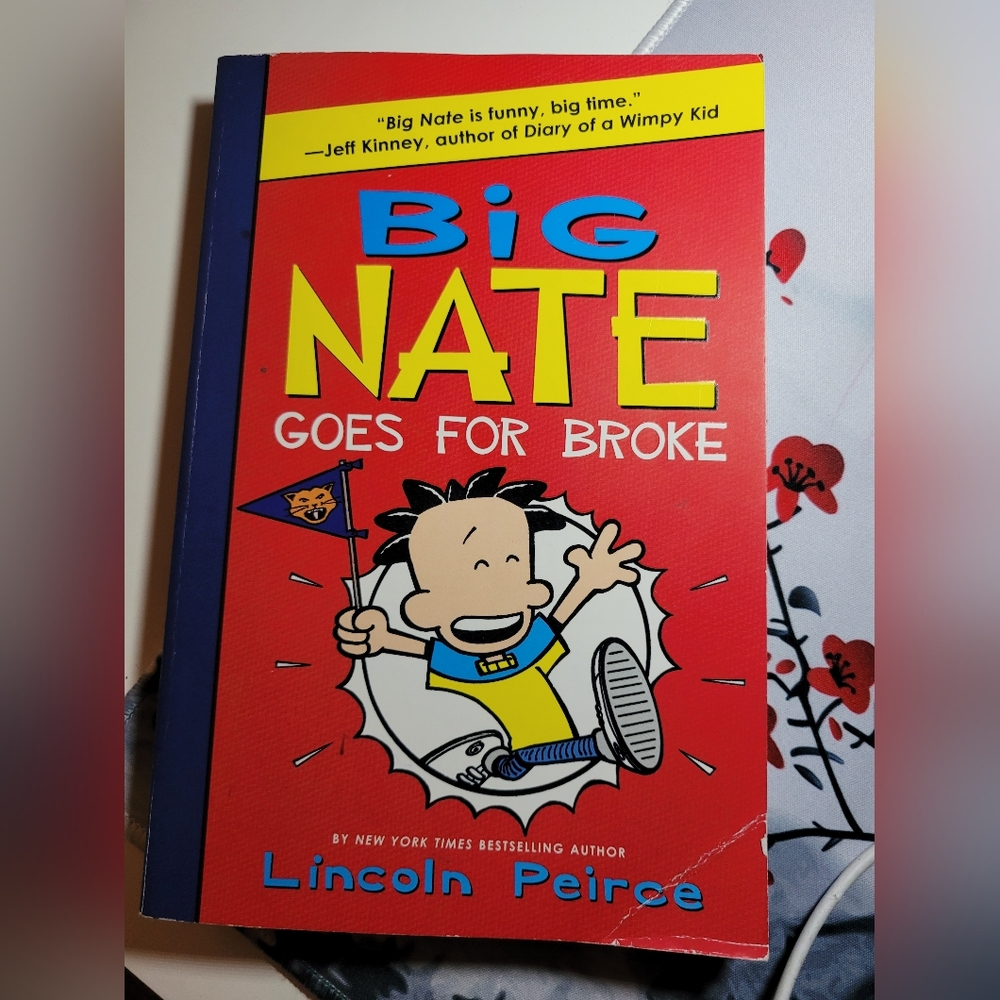 Big nate books